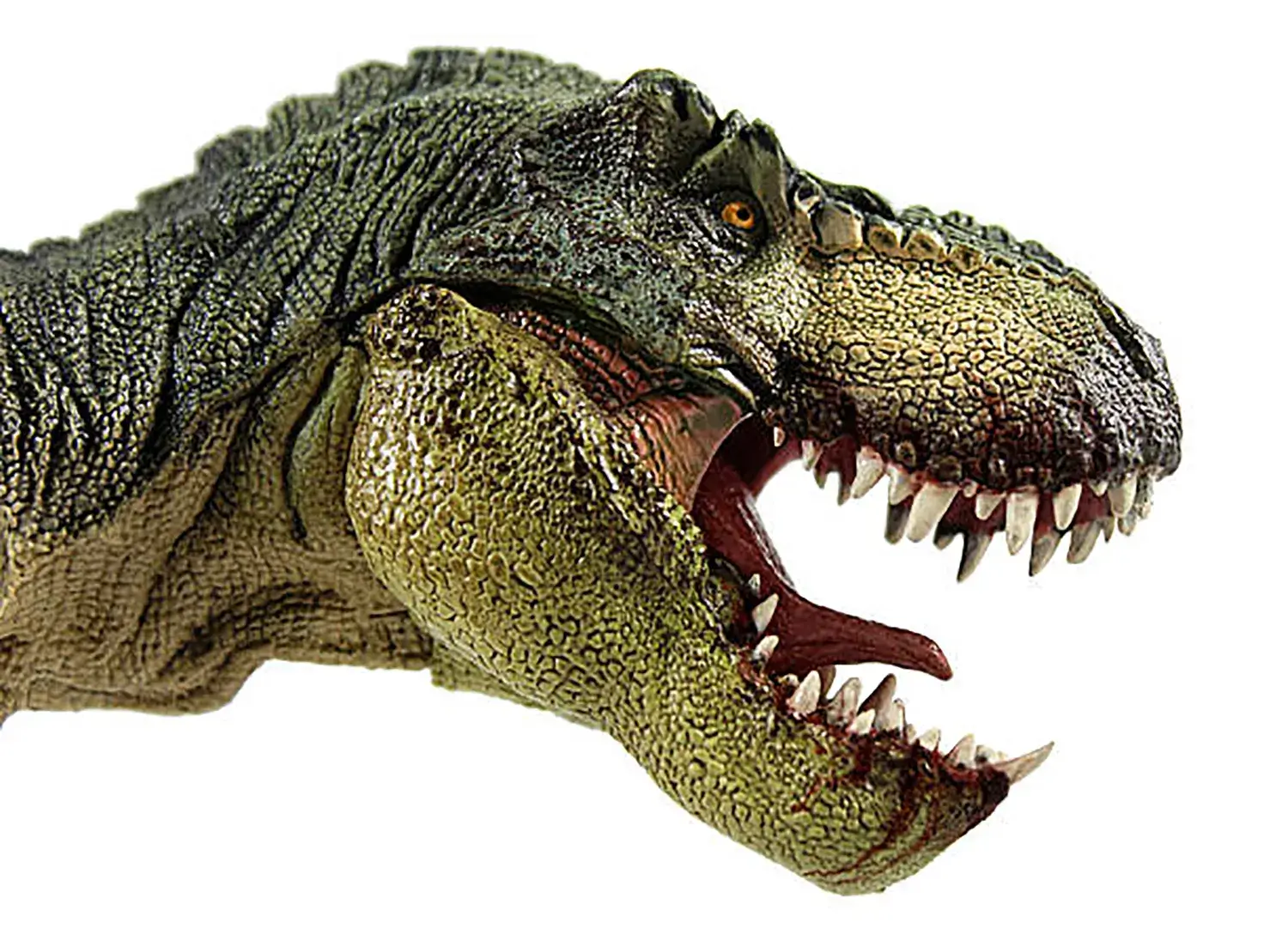 ティラノサウルスの歯の長さは最長どれくらい？
