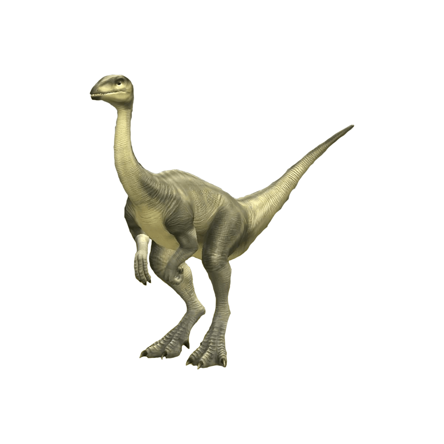草食恐竜 | 恐竜博物館.web