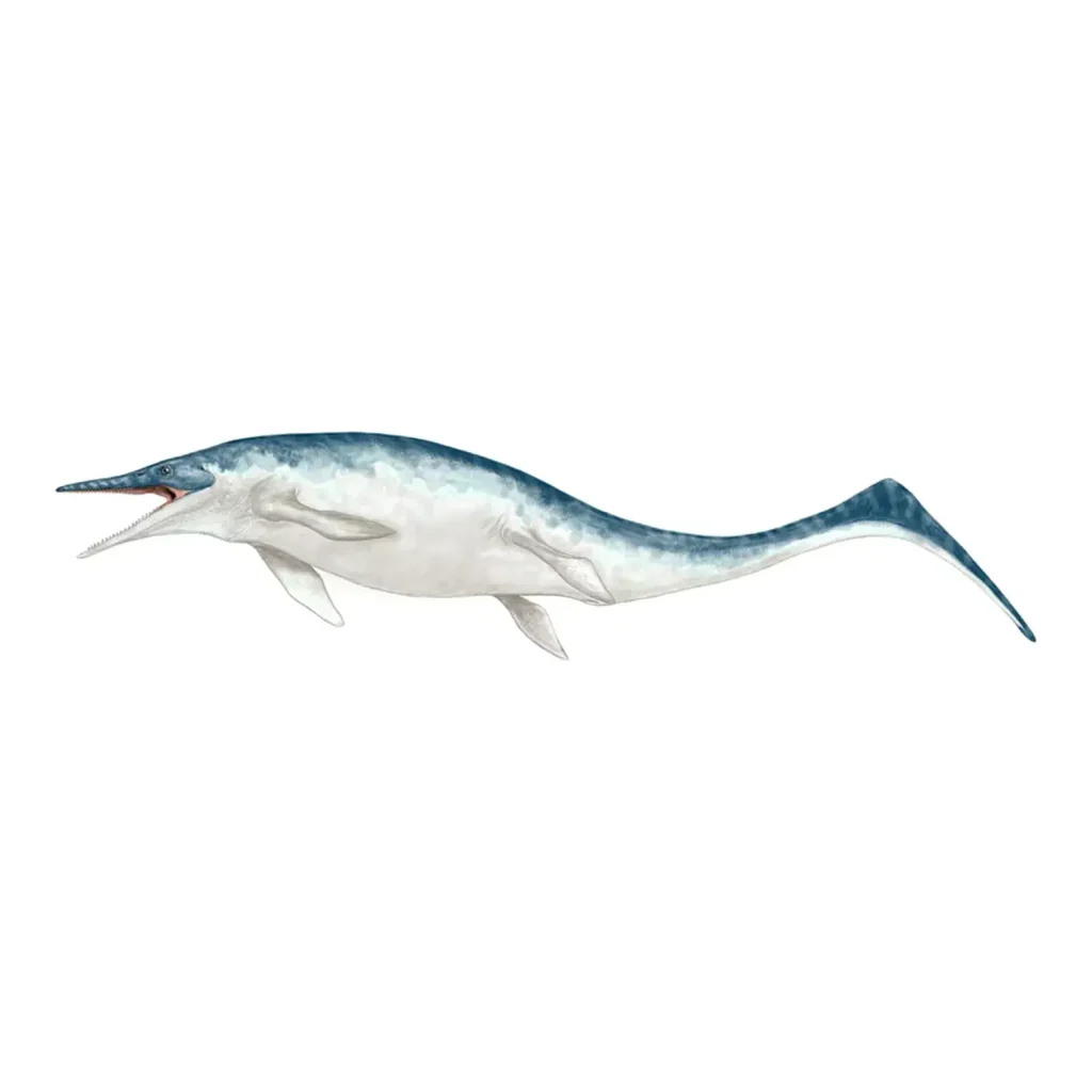 ウタツサウルス・ハタイイ