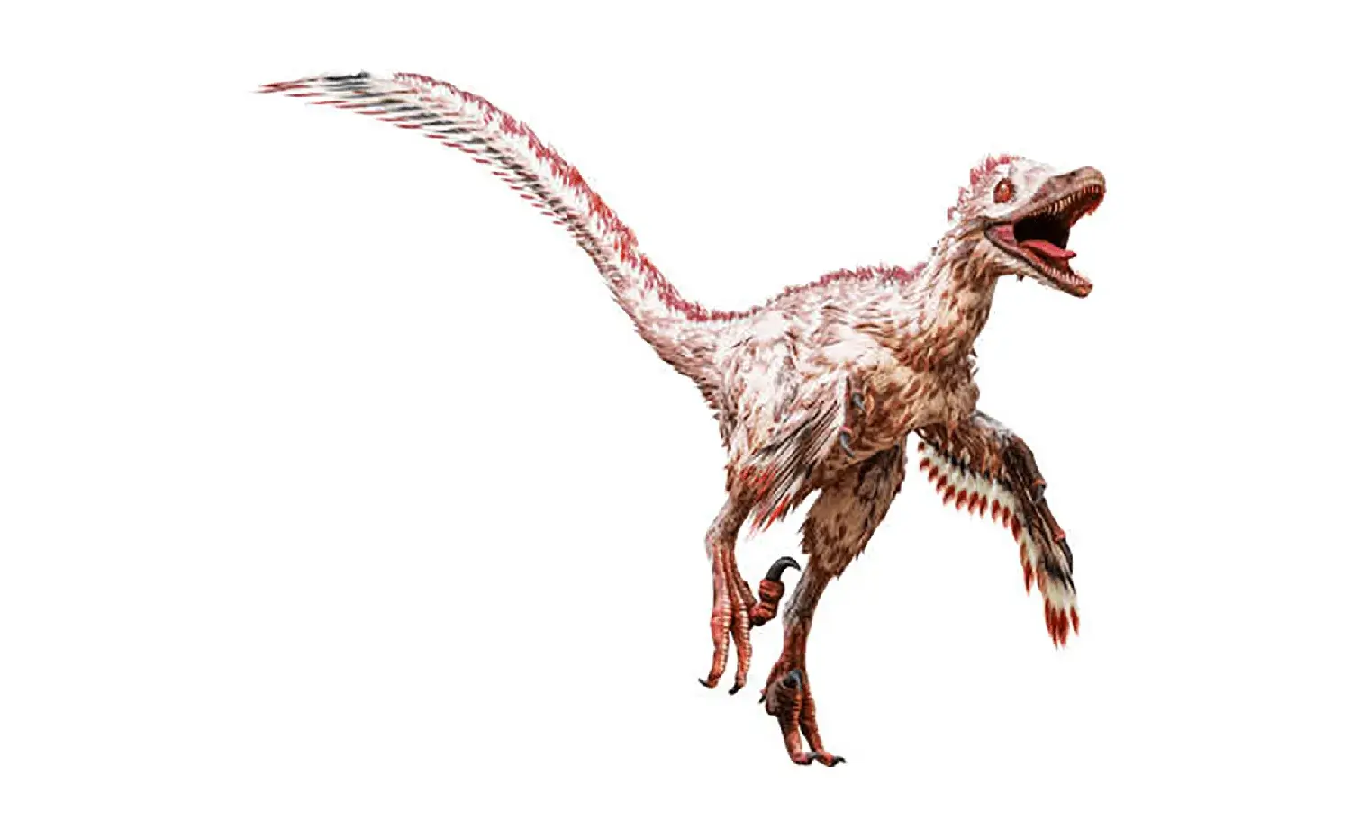 ヴェロキラプトル