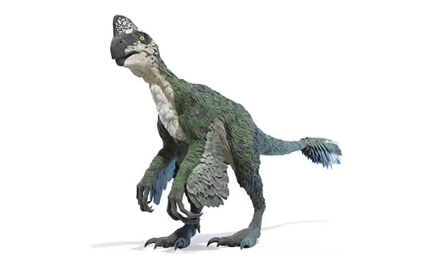 オヴィラプトルの名前の意味で正しいものは、次のうちどれ？