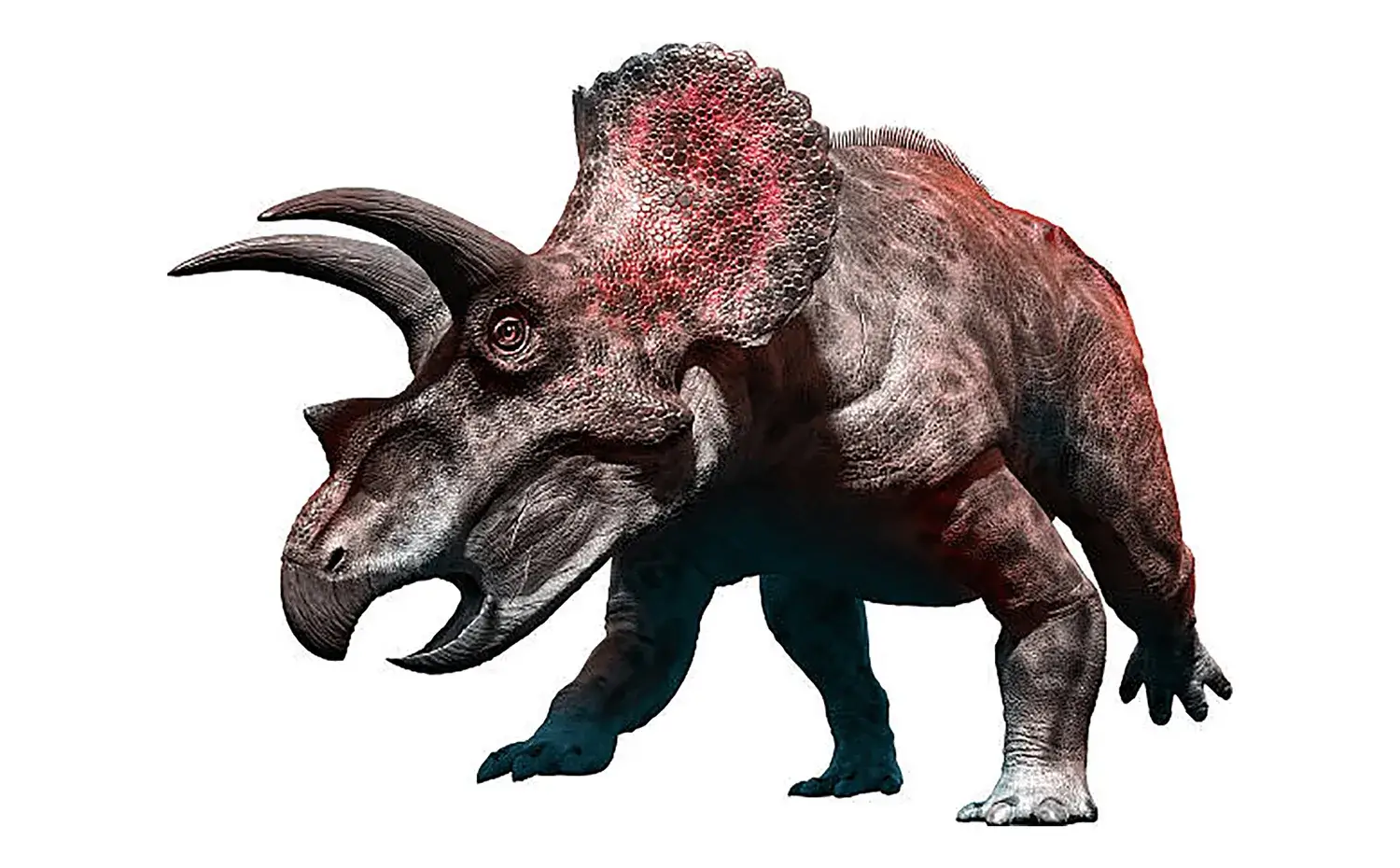 トリケラトプスの名前の意味で正しいものは、次のうちどれ？