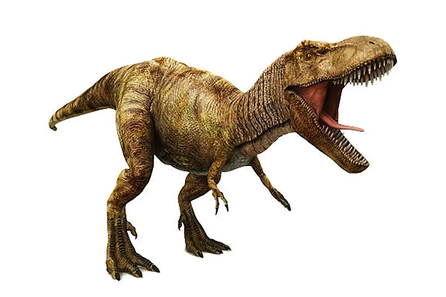 代表的な獣脚類の恐竜『ティラノサウルス』