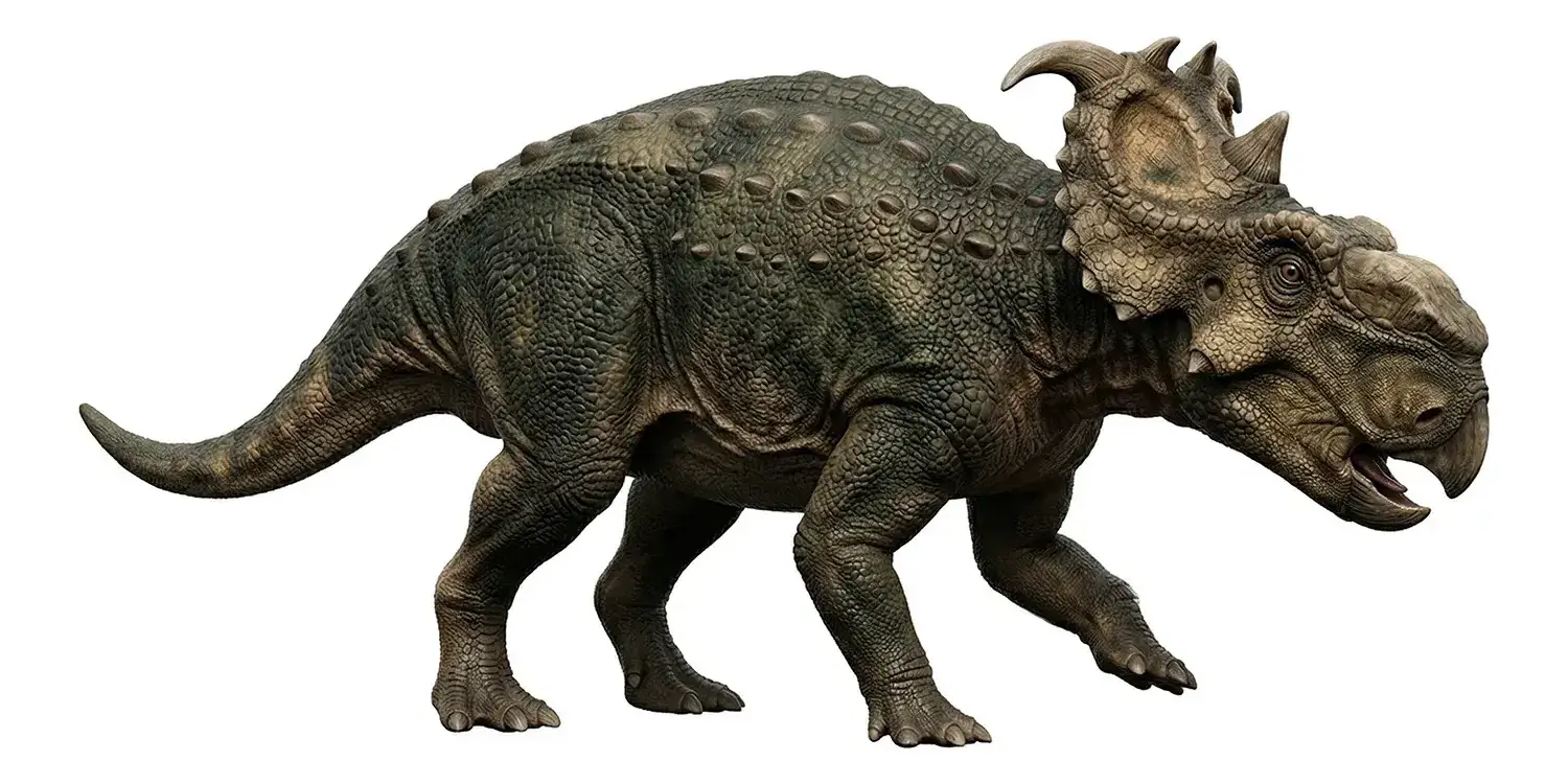 パキリノサウルスの鼻のコブは何でできている？