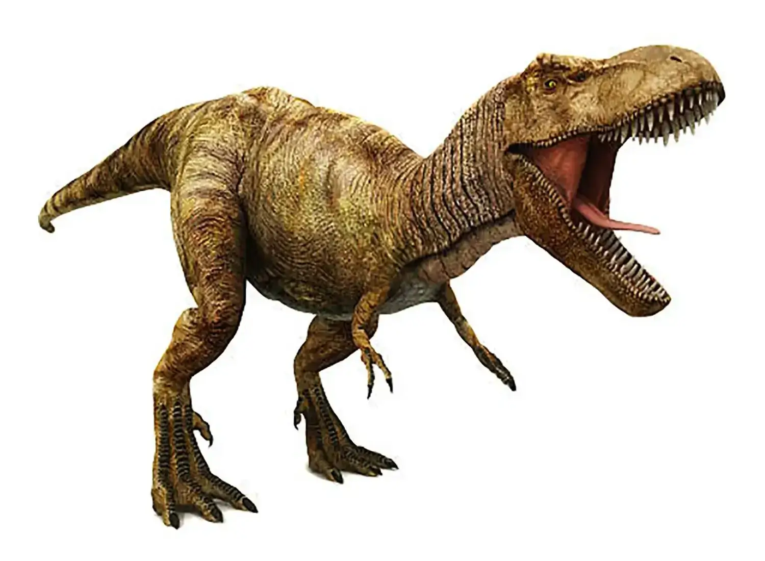 Tyrannosaurus