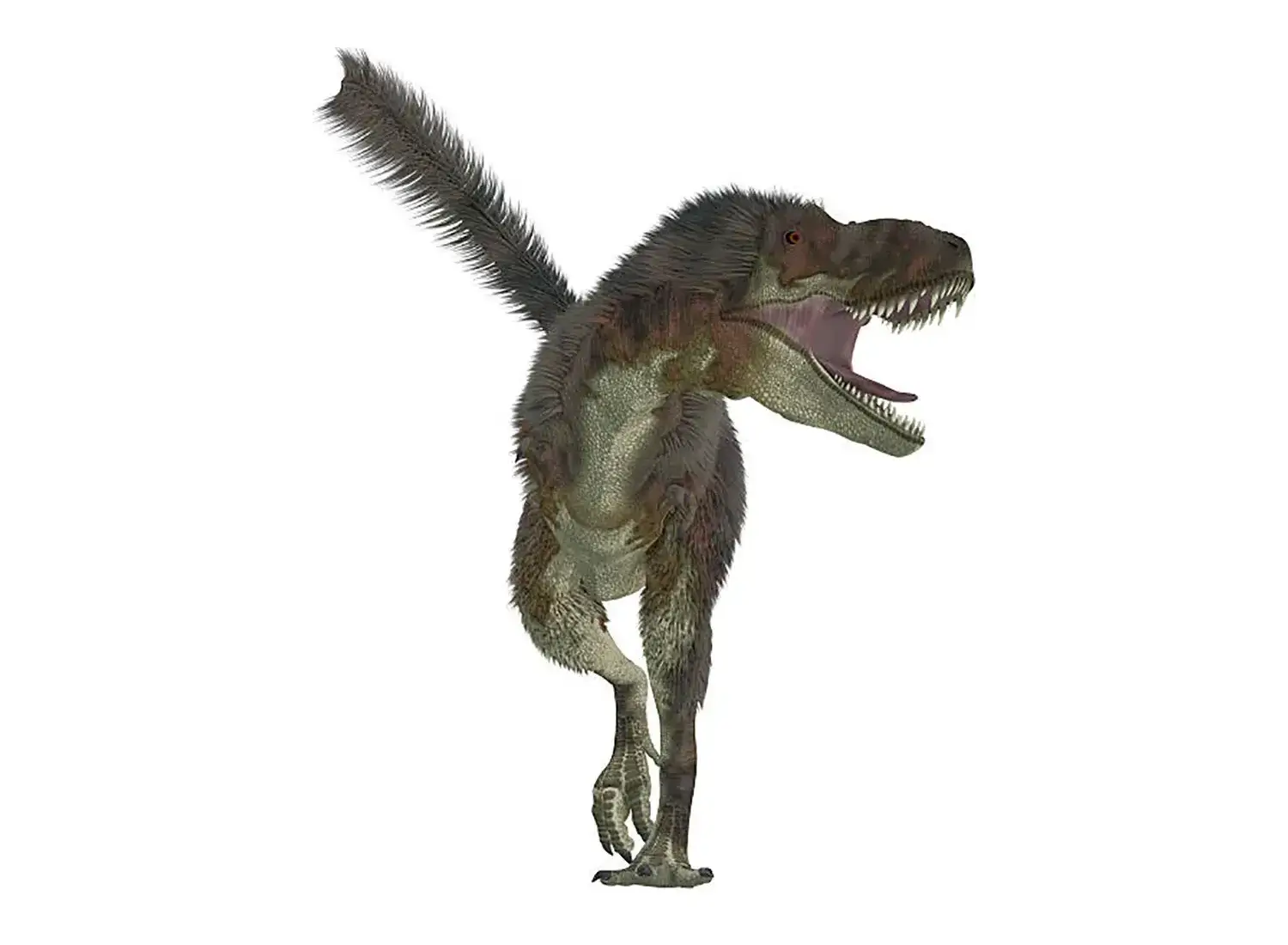 10th Place: Daspletosaurus