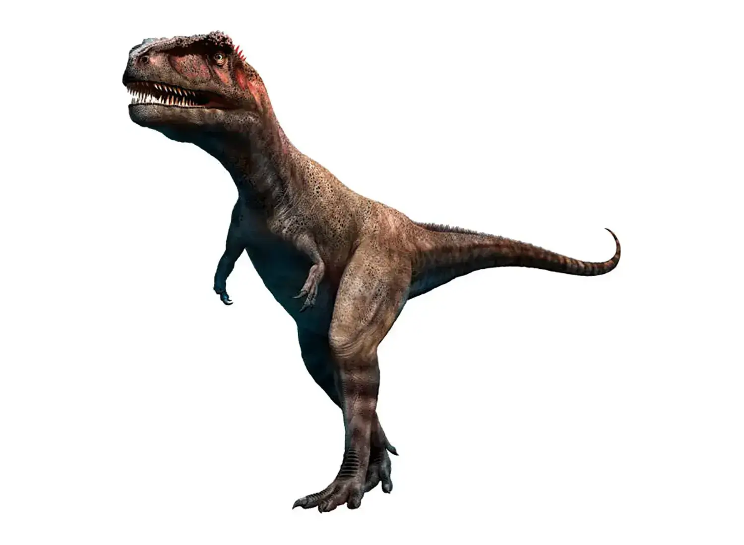 8th Place: Mapusaurus
