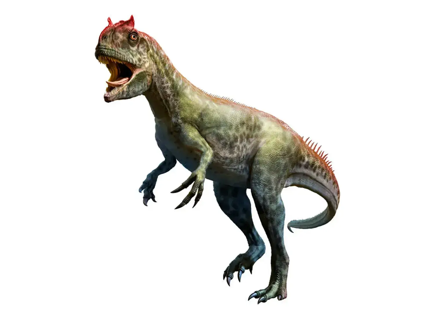 7th Place: Allosaurus