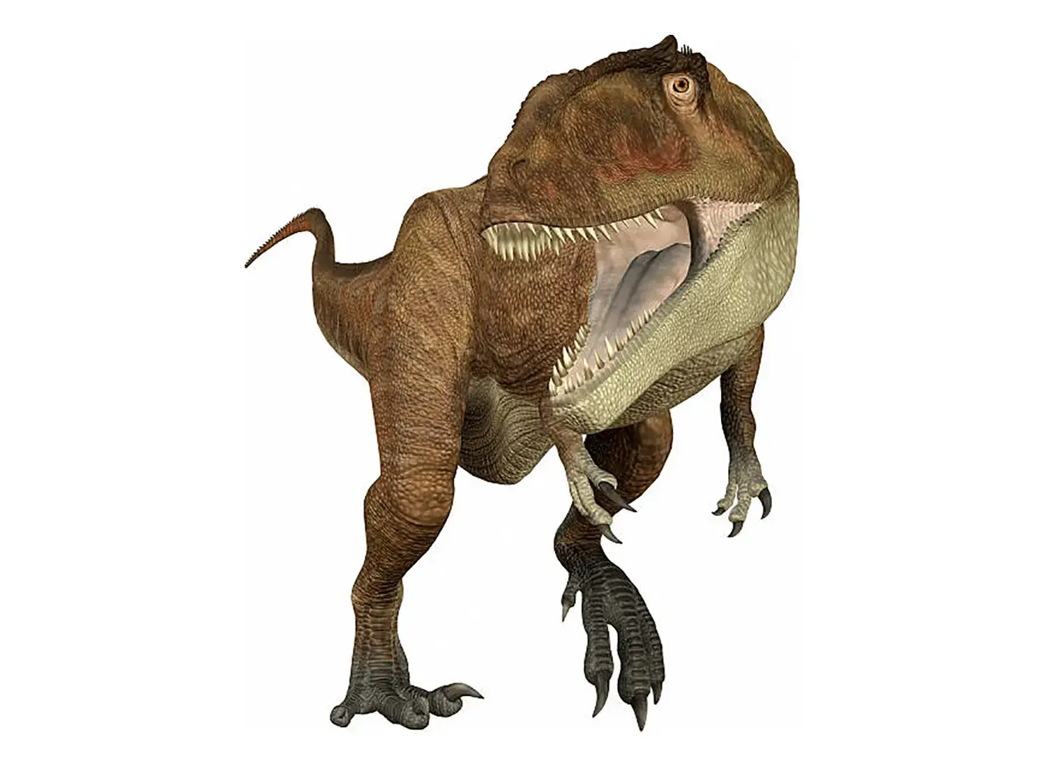 5th Place: Carcharodontosaurus