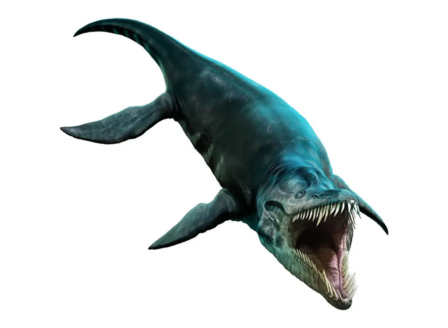 Liopleurodon