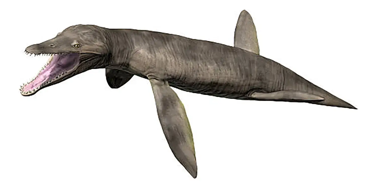 Pliosaurus